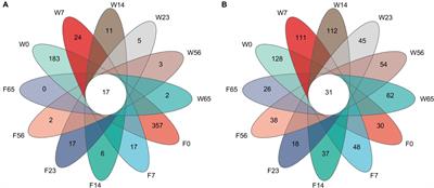 Multi-omics reveals the phyllosphere microbial community and material transformations in cigars